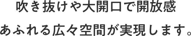 吹き抜けや大開口で開放感あふれる広々空間が実現します。