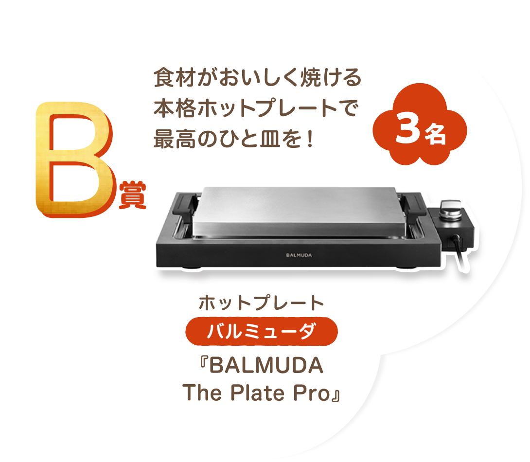 ■B賞:バルミューダ「BALMUDA The Plate Pro」3名様