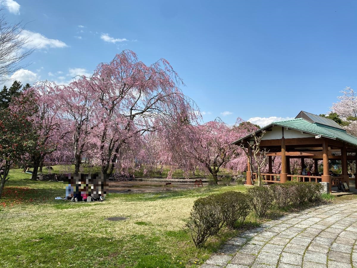 イイコトテラス北久原 土地 中央公園まで約2.1km　噴水や池、大きなアスレチック遊具のある公園が車で5分の距離に！大規模な駐車場や自動販売機もあります。ペットのお散歩もできます♪