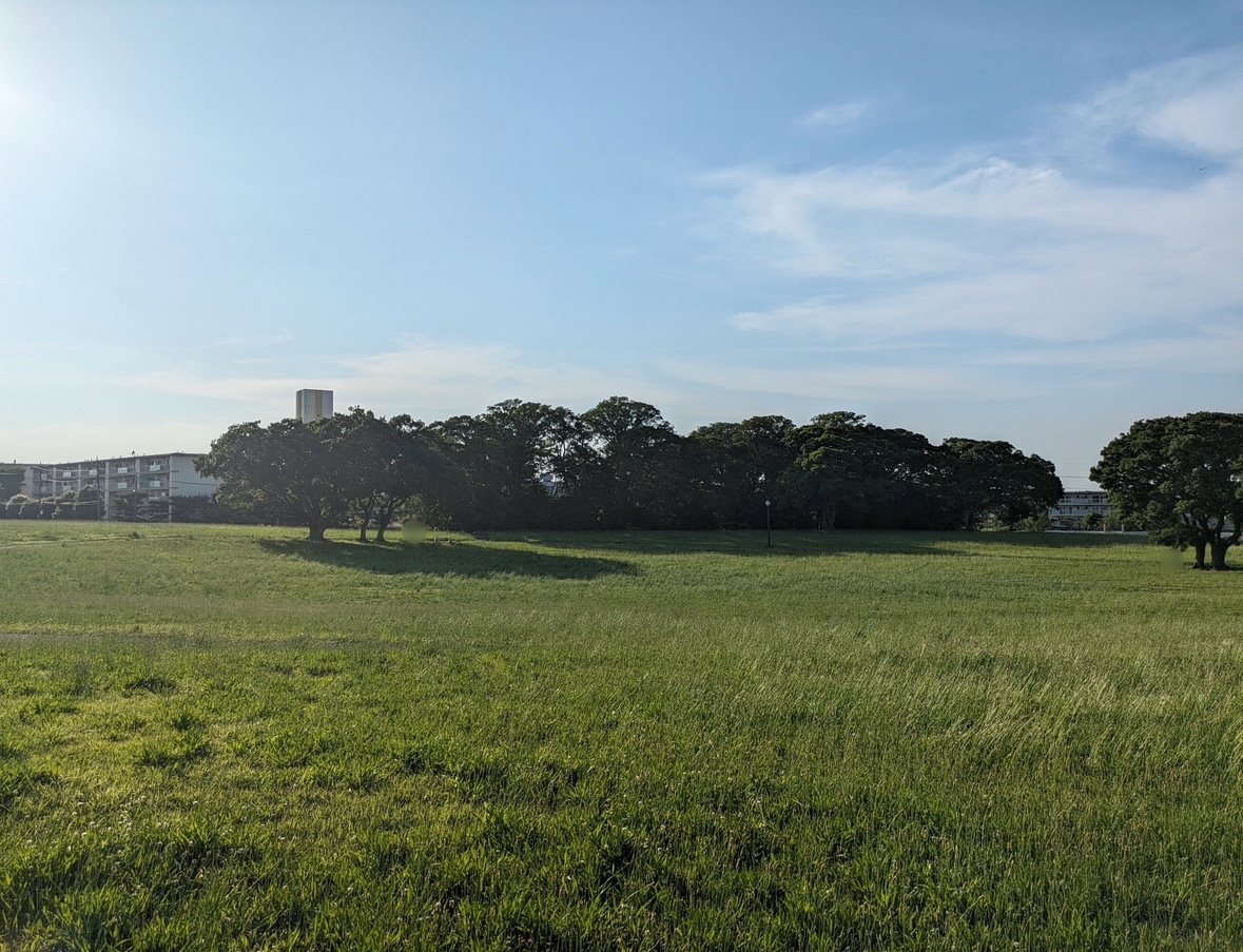 犢橋貝塚公園まで約1km（徒歩13分）　犢橋貝塚公園では園内には桜並木があり、春にはお花見スポットとしてもにぎわいます。

隣接する遊具の広場にはすべり台とブランコ、移動図書館のバスが設置してあり思い切り遊んだりのんびり休んだり思い思いの時間を過ごせるスポットです。

中央・総武線新検見川駅から車で11分。
