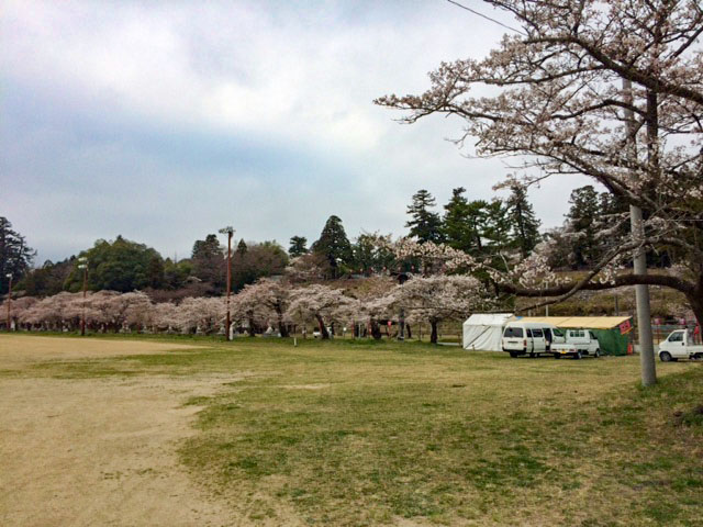 馬陵公園まで約2.5km　近くには神社もあり桜の季節には綺麗な桜並木が広がります。