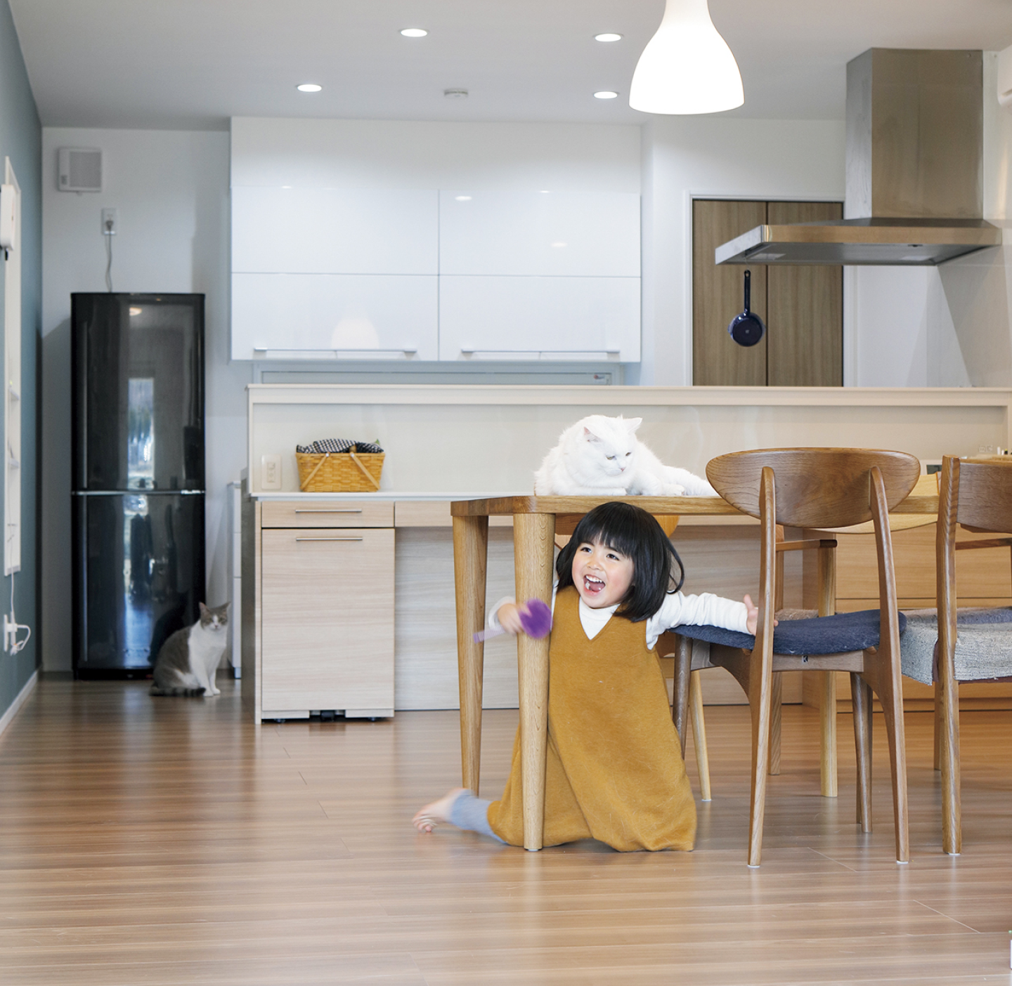 猫と暮らす、心地よい住まいとは