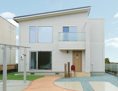 念願の大空間が叶って猫も夫婦も大満足