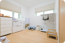 猫専用の部屋を計画