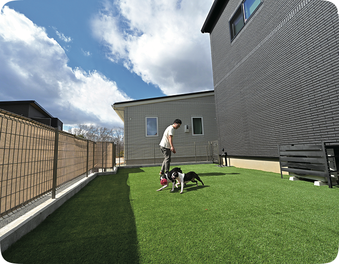 ❸ 人工芝ドックラン