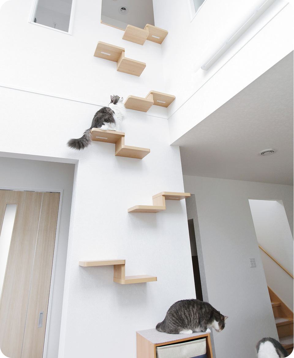 縦にも広がる大空間で、のびのび暮らす