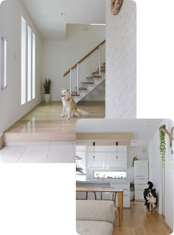 お留守番中も安心一年中快適な温度で熱中症対策もバッチリ