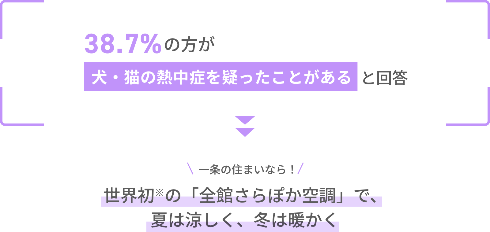 38.7%の方が犬・猫の熱中症を疑ったことがあると回答 一条の住まいなら！世界初の「全館さらぽか空調」で、夏は涼しく、冬は暖く