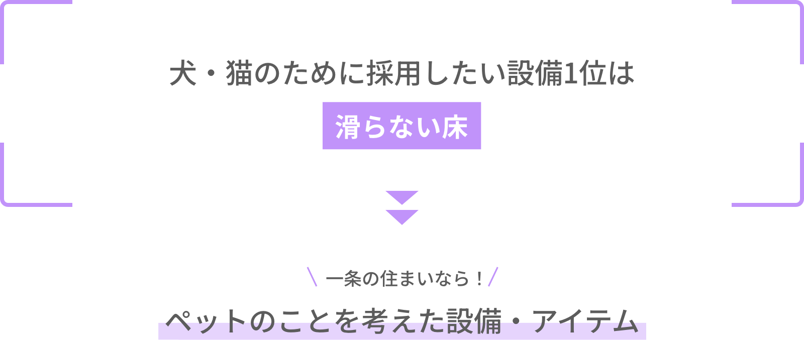 犬・猫のために採用したい設備1位は滑らない床 一条の住まいなら！ペットのことを考えた設備・アイテム