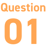 Question 01