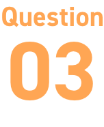 Question 03