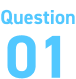 Question 01