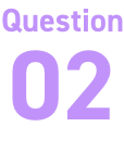 Question 02