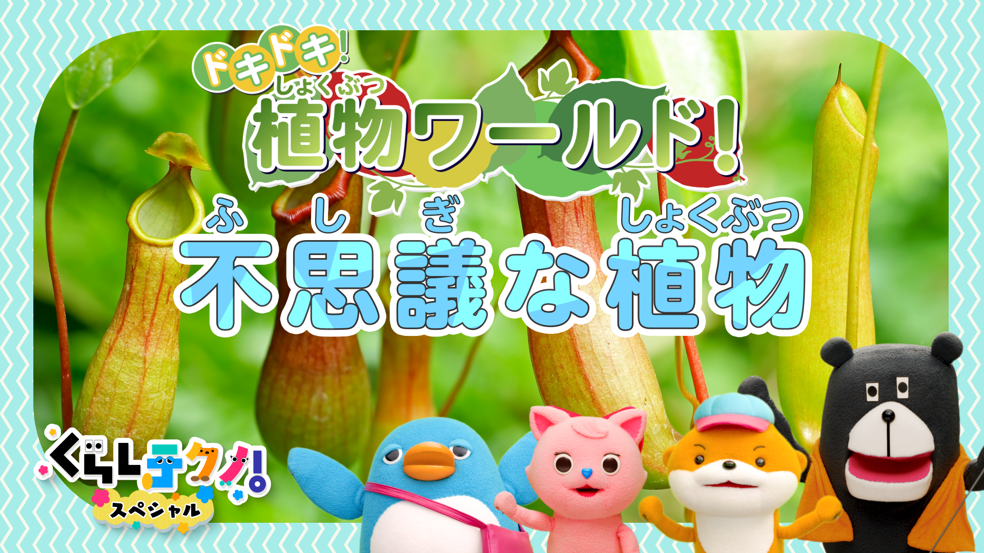 ドキドキ！植物ワールド！
「不思議な植物」編