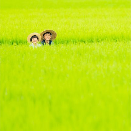一面の田んぼの中に紛れて微笑んでいる二人の子どもの写真