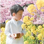 花を観察する子供の写真